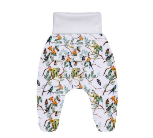 Повзунки Мавпочки